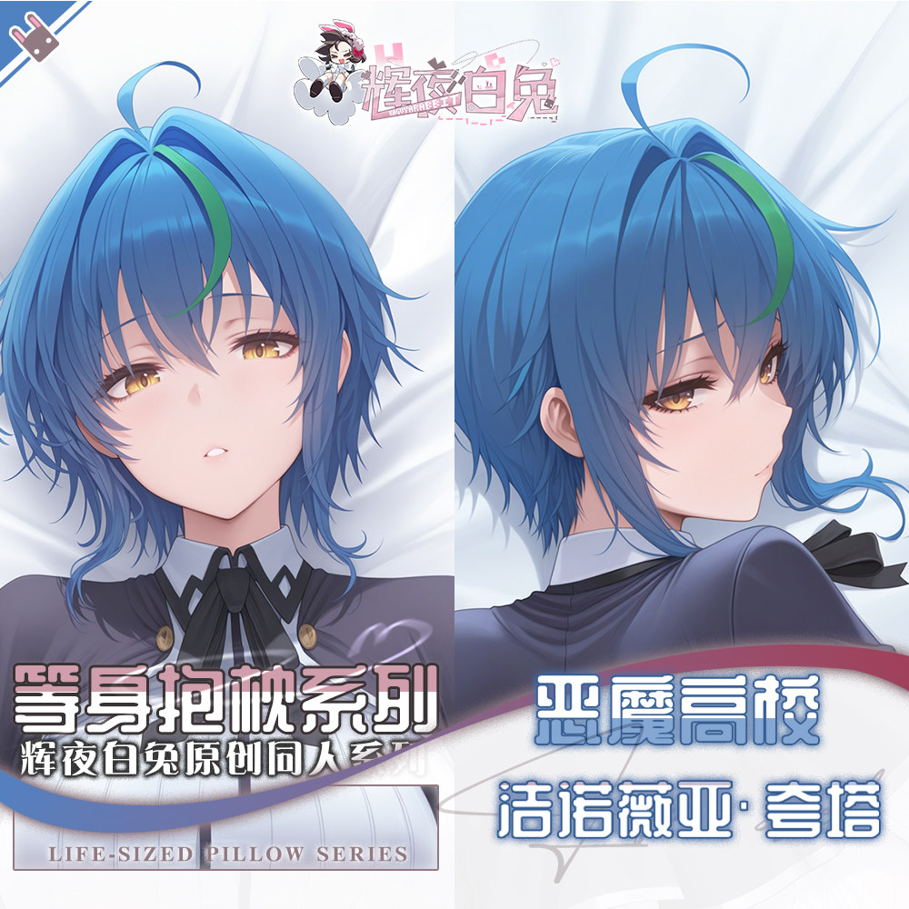 School Supplies - Sarung Bantal Dakimakura Anime High School